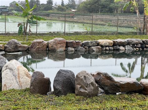 庭園水池|宜蘭國瑞園藝設計工程 《 讓我們的世界充滿花園